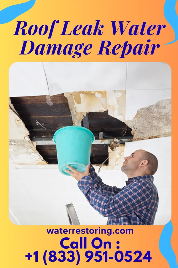 Roof Leak Water Damage Repair in Winfield, TX